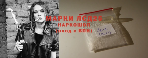 спиды Ельня