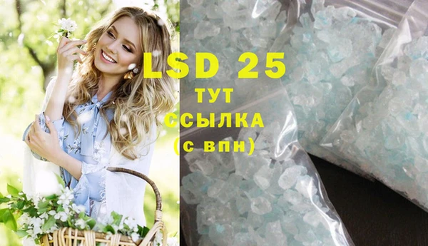 спиды Ельня