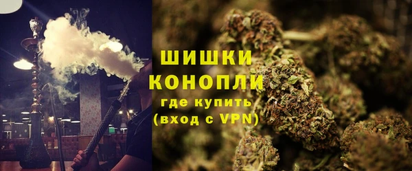 прущий лед Заводоуковск