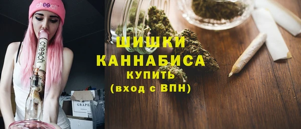 винт Елизово