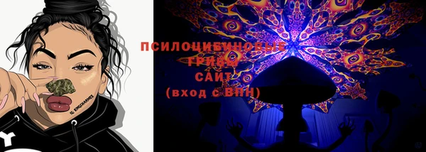 прущий лед Заводоуковск